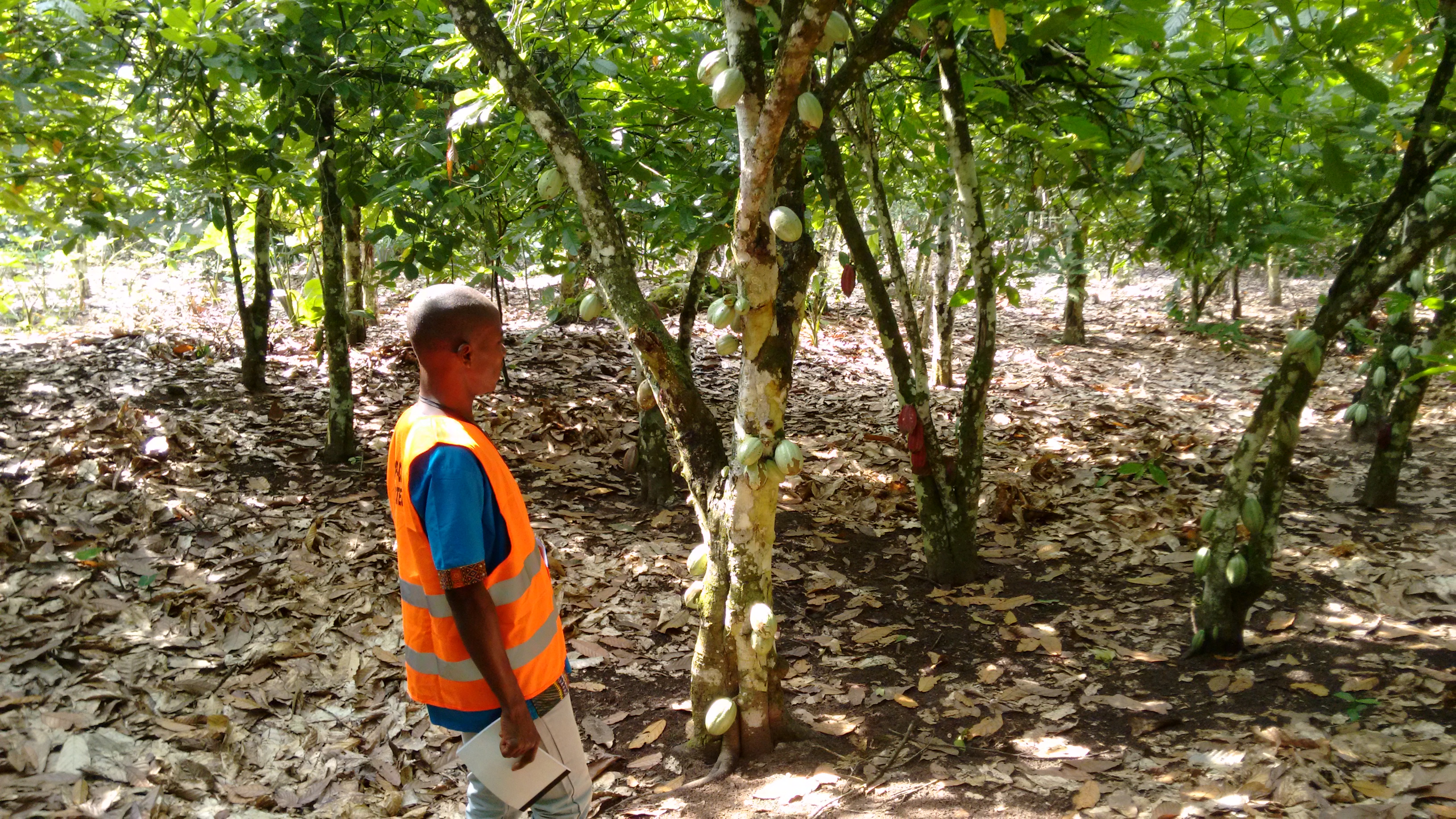 Farmers Management Agri Value Chain Management Software Playing it