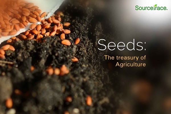 importance of seeds in agriculture