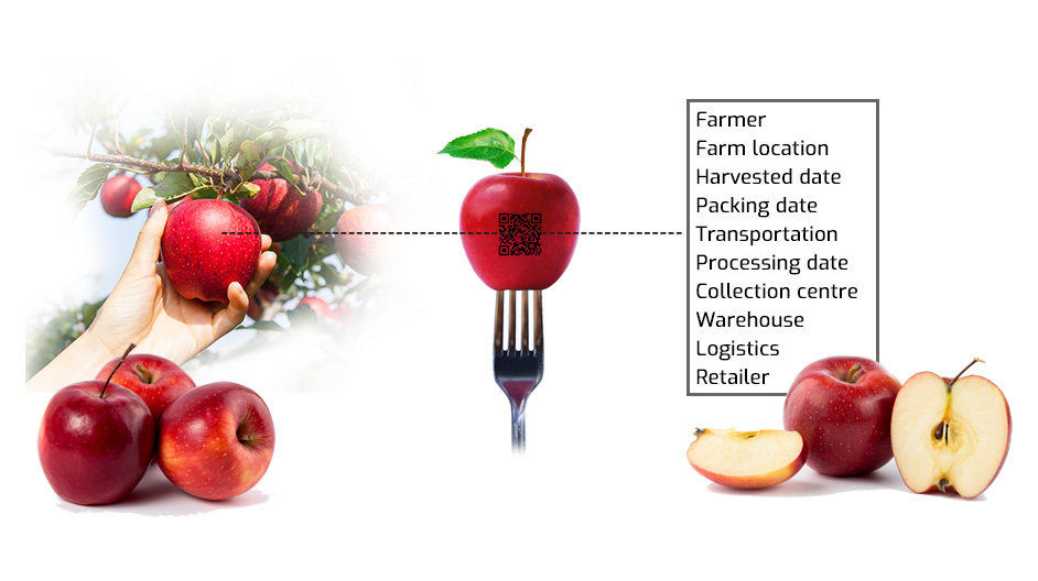 Top Trends in Traceability: Fruits and Vegetables Supply Chain