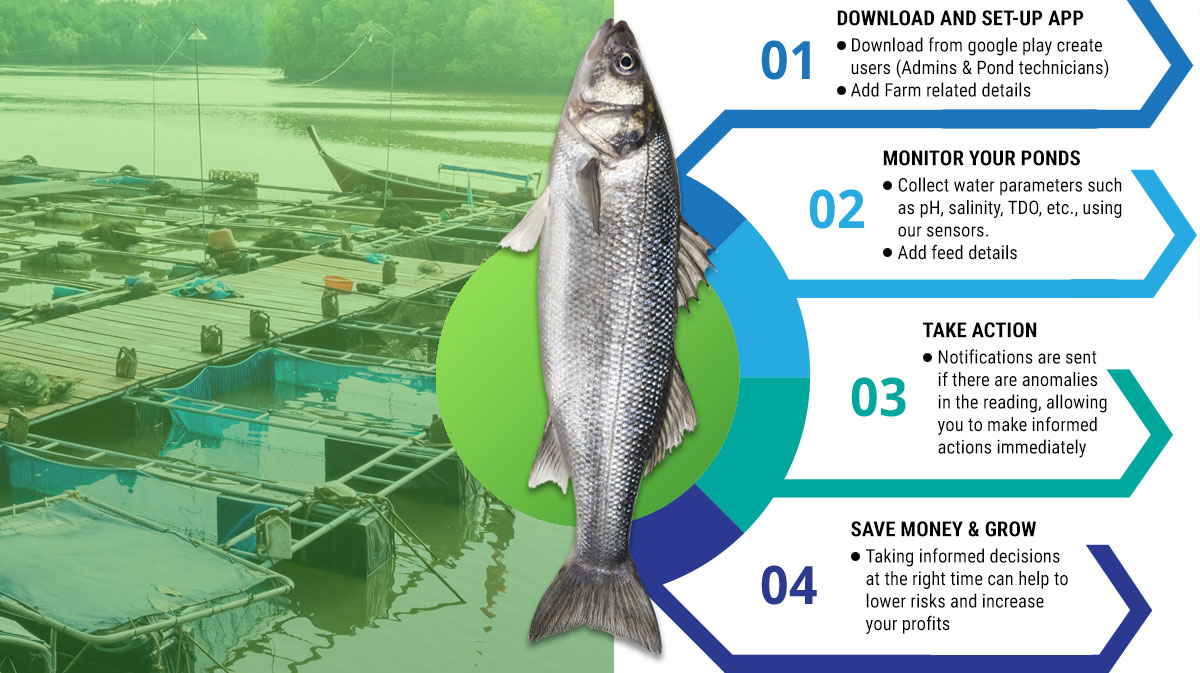 How data-driven technology can transform Aquaculture?