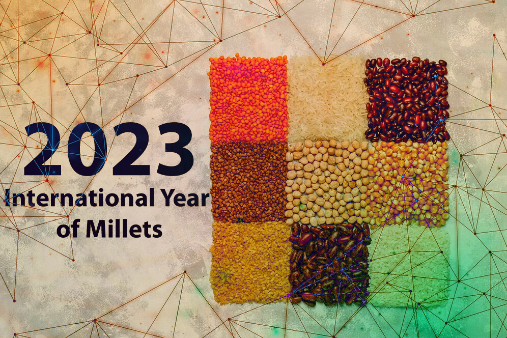 2023 Internation Year of Millets